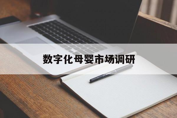 淮北市数字化母婴市场调研(数字化母婴市场调研报告)
